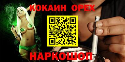 гидра Вязьма