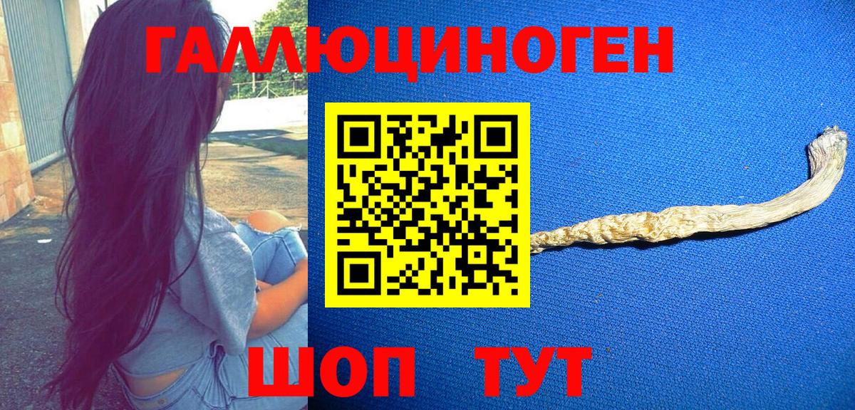 Галлюциногенные грибы GOLDEN TEACHER  Вход с VPN  Сатка 