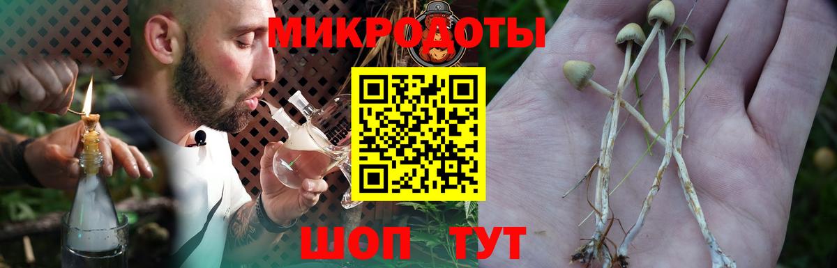 Псилоцибиновые грибы ЛСД Сатка